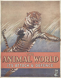 Attack and Defence