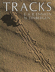 Tracks