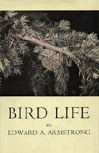 Bird Life