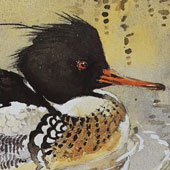 Ennion Ephemera