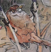 Ennion Ephemera