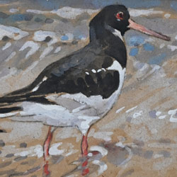 Ennion Exhibitions
