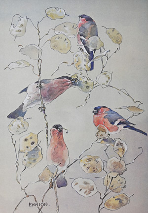 Ennion Prints