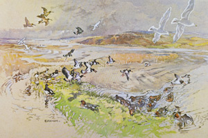 Ennion Prints