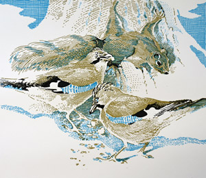 Ennion Prints