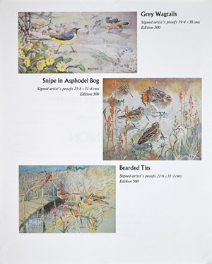 Ennion Prints