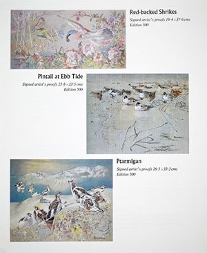 Ennion Prints