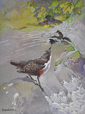 Ennion Prints
