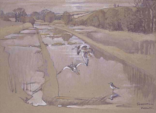 shalbourne